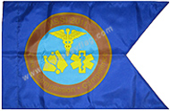 CHS Medical guidon