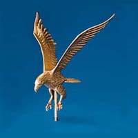 Gold eagle 16 inch